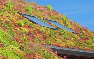 Sevington living roof systems